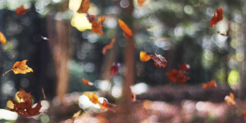 从代码分享到软件工程：如何通过编程教程构建系统性技术思维