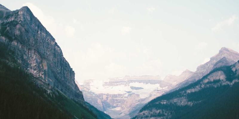 代码分享的艺术：软件工程师如何通过优质学习资源加速成长