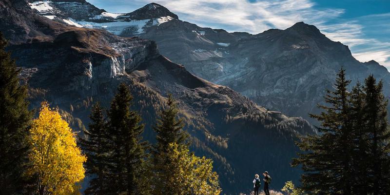 前端开发者社区：代码分享如何塑造你的技术成长之路