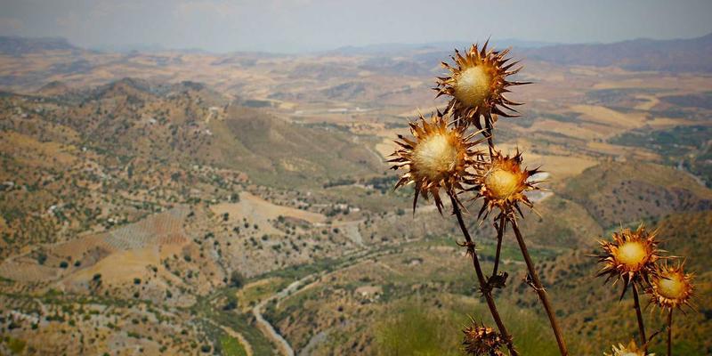 前端开发进阶：技术博客移动端适配与响应式设计实战指南
