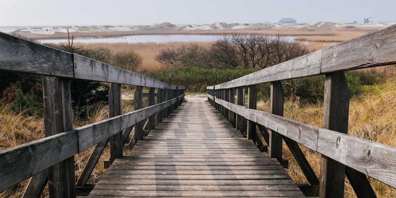 前端开发进阶指南：从编程教程到融入开发者社区的完整路径