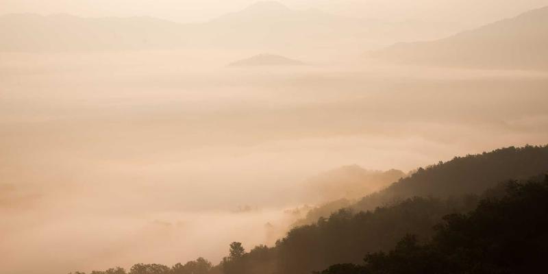 后端开发者必看：2024年精选学习资源与软件工程进阶指南