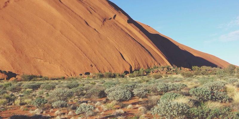 开发者社区与学习资源：前端开发者的成长加速器