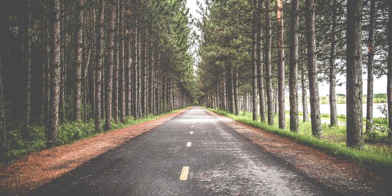 开发者社区如何塑造后端开发者的成长路径:从编程教程到实战专家