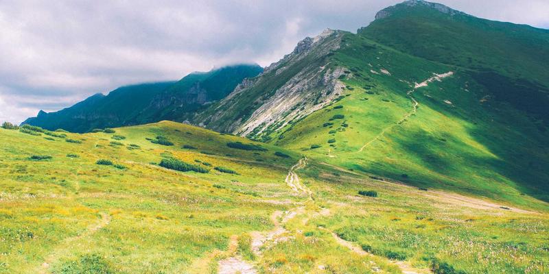 技术博客7:后端开发中的高效代码分享实践与架构思考