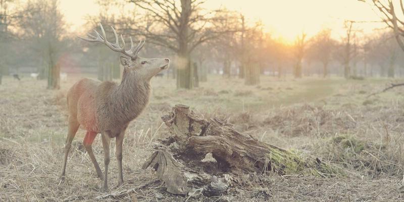 技术博客83：从代码到系统，现代后端开发的工程化演进