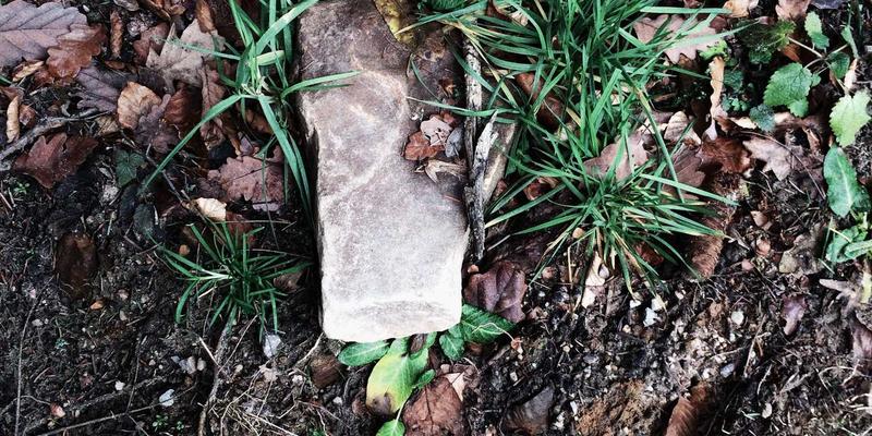 技术博客SEO实战指南：让Google快速收录你的前端与后端开发文章