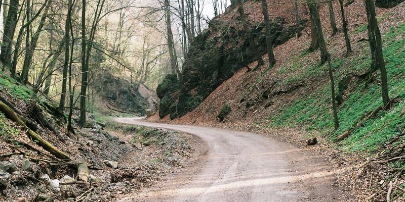 技术博客与编程教程的版权保护策略：从防抄袭到水印技术的实战应用