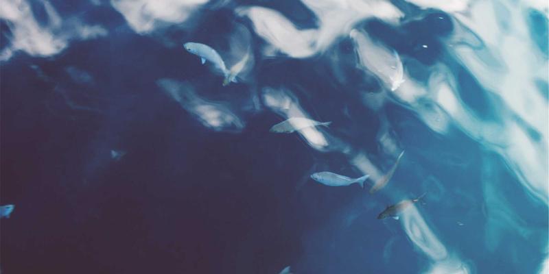 技术博客写作进阶指南：代码分享、工程思维与教程设计的黄金法则