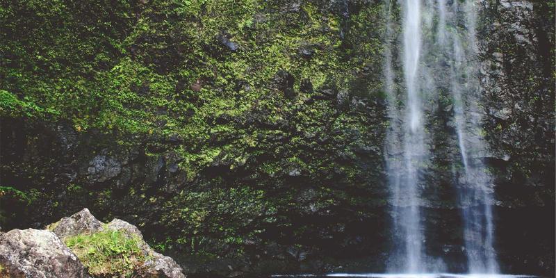 技术博客如何实现持续盈利：开发者社区与编程教程的商业模式深度解析