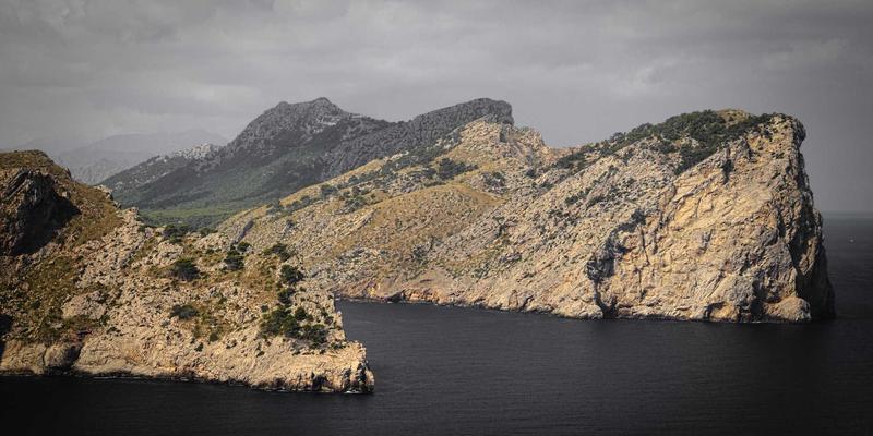 技术博客如何构建高价值邮件列表：通过Newsletter实现代码分享与读者深度连接