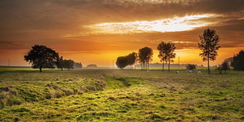 技术博客深度对比：后端开发与前端开发社区生态差异解析