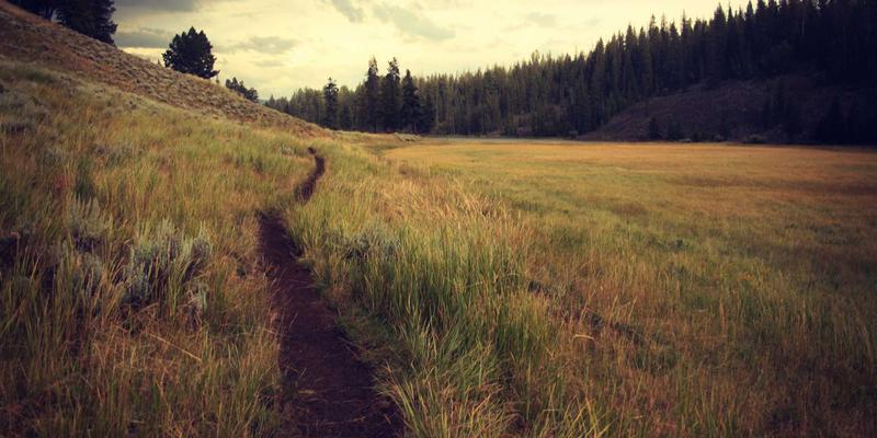 技术博客深度评测：如何从代码分享与编程教程中汲取软件工程真知