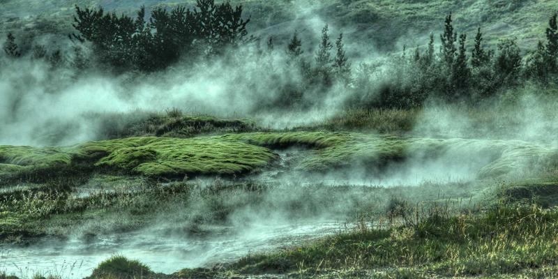 技术博客演进趋势:从前端到后端的开发者社区生态洞察