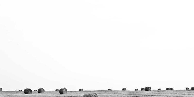 技术博客迁移实战：从WordPress到Hugo的数据迁移与SEO保权指南