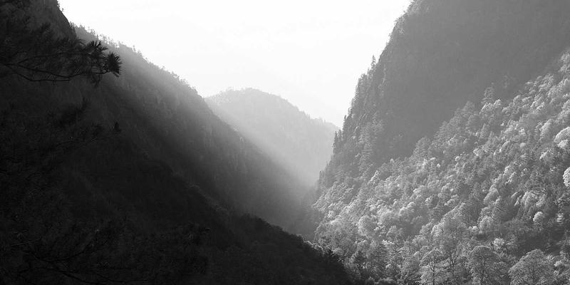 技术博客进阶指南：代码高亮与可交互代码片段的实现方案