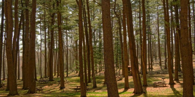用Obsidian构建技术博客的第二大脑：高效管理学习资源与软件工程知识体系