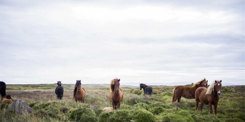 软件工程师如何通过技术博客建立个人品牌并开启后端开发职业新机遇