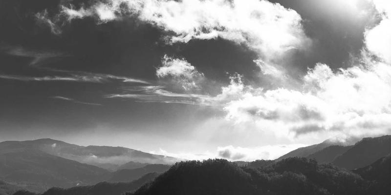 软件工程进阶之路：如何高效利用开发者社区与学习资源